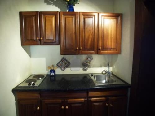 Cocina equipada de Casa Rural Los Helechos con muebles de madera, encimera negra, placa de cocción y fregadero