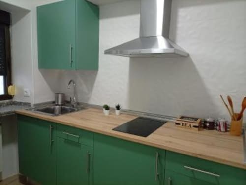 Moderna cocina verde con encimera de madera, campana extractora de acero inoxidable y placa de inducción en Apartamentos La Machacona