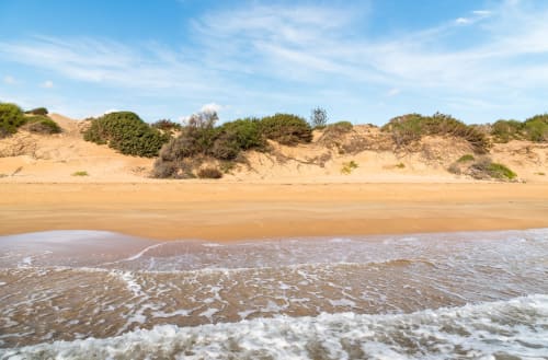 Spiaggia sabbiosa con dune e onde oceaniche sotto un cielo blu