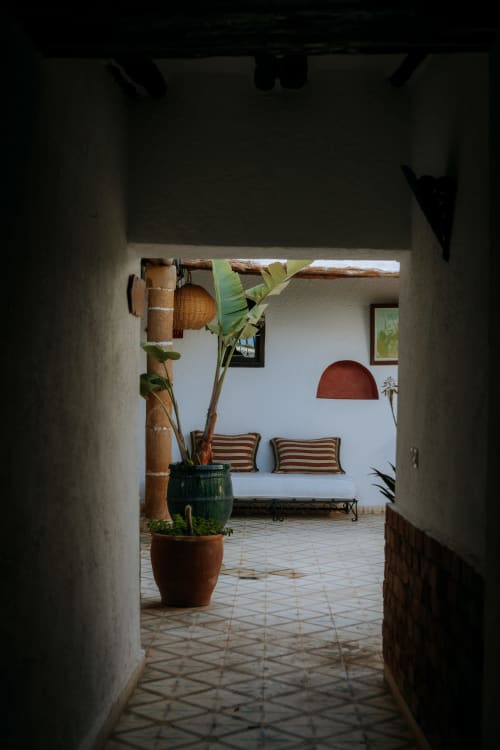 Cour de l'hôtel Eucalyptus à Essaouira avec bananier, coussins rayés et carrelage marocain traditionnel