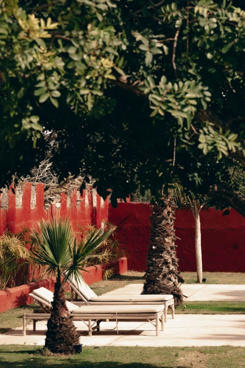 Chaises longues sous les palmiers devant les murs rouges éclatants de l'hôtel Eucalyptus Ethnic, Essaouira Maroc
