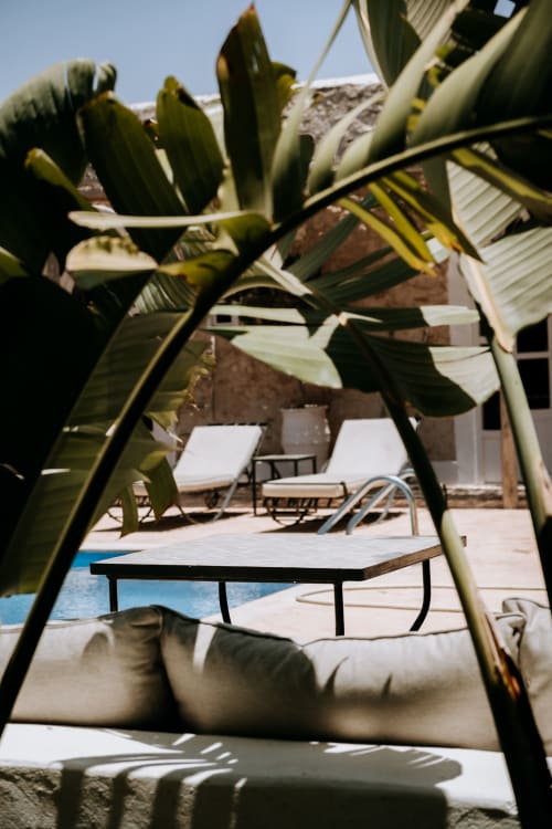 Des cactus encadrent l'espace de détente au bord de la piscine de l'hôtel Eucalyptus Ethnic à Essaouira, Maroc