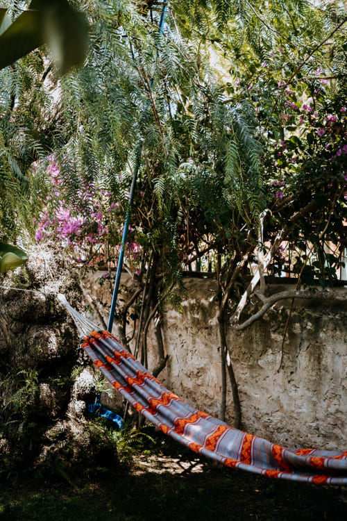 Un tuyau d'arrosage aux motifs rouges vibrants serpente à travers le jardin luxuriant de l'hôtel Eucalyptus Ethnic à El Ghazouane, Essaouira