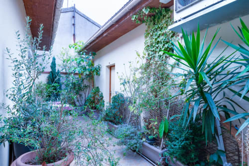 Terrasse commune verdoyante avec plantes et végétation à l'hôtel Résidence Molière, Montrouge, Paris