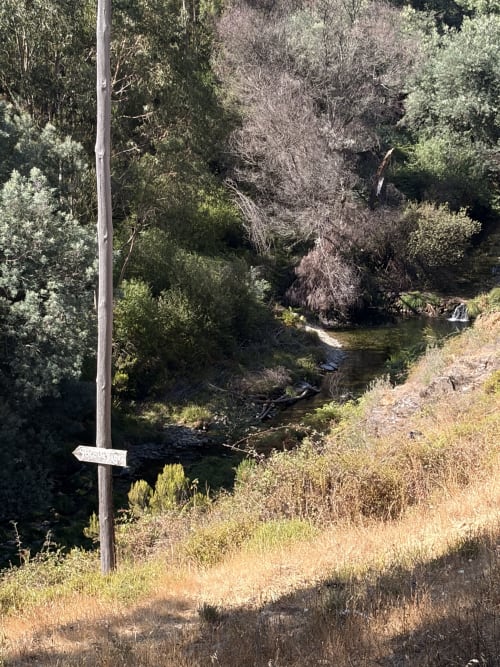 Córrego fluindo pela paisagem montanhosa e florestada na casa rural Casas do Sinhel em Relva da Mó, Portugal