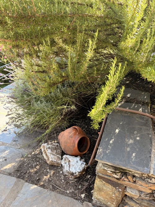 Vaso de terracota enferrujado entre plantas verdejantes e degraus de pedra na casa rural Casas do Sinhel em Relva da Mó, Portugal