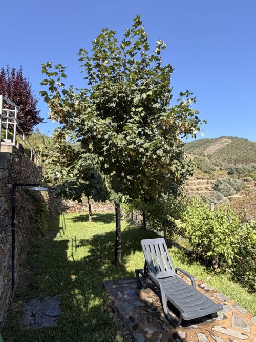 Espreguiçadeira sob árvore frondosa no jardim da casa Casas do Sinhel, vista de montanha ao fundo, Portugal