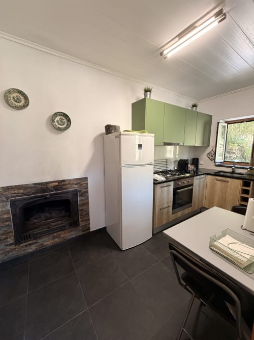 Cozinha de chalé moderno em Casas do Sinhel com armários verdes, eletrodomésticos em aço inoxidável, lareira e área de jantar