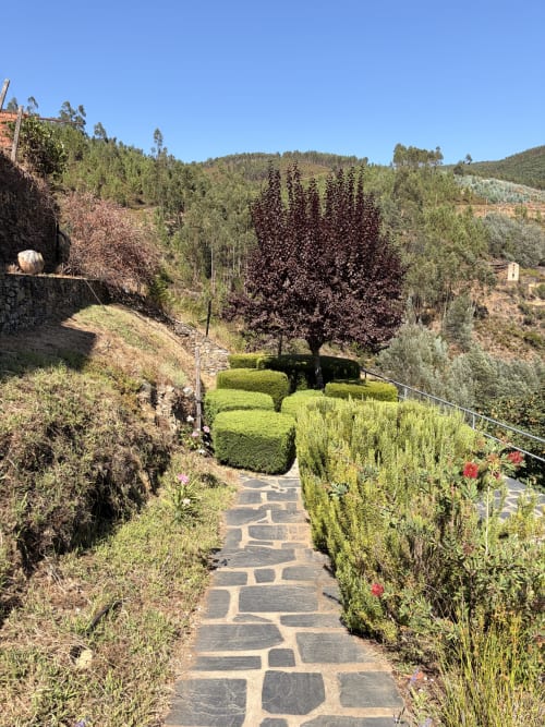 Caminho de pedra em jardim bem cuidado com sebes e flores silvestres na quinta Casas do Sinhel, nas montanhas portuguesas