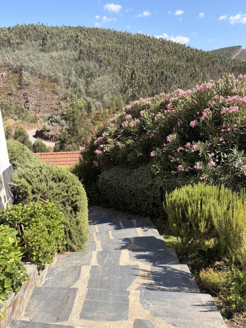 Caminho de pedra através de jardim florido levando à floresta de coníferas e montanhas na Casa do Sinhel, Portugal