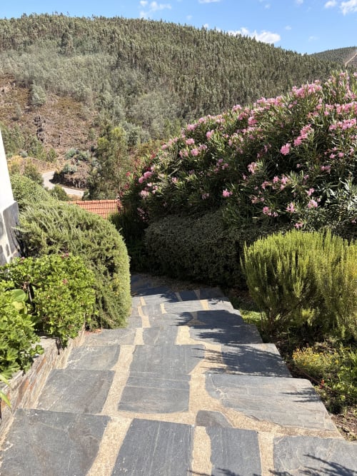 Caminho de pedra através de jardim exuberante com arbustos floridos em rosa na Casas do Sinhel em Portugal, com floresta de montanha ao fundo