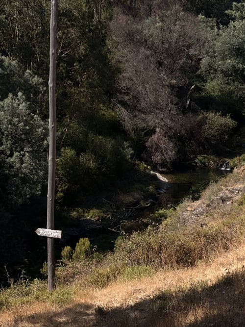 Riacho de montanha rural na quinta Casas do Sinhel em Relva da Mó, Portugal, cercado por floresta e vegetação