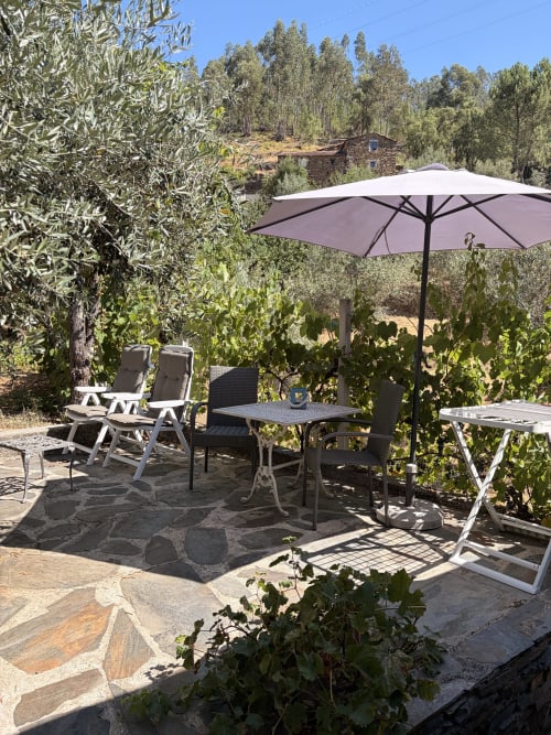 Terraço exterior da vila Casa das Oliveiras em Álvares com espreguiçadeiras, mesa de refeições, guarda-sol e vista para o olival