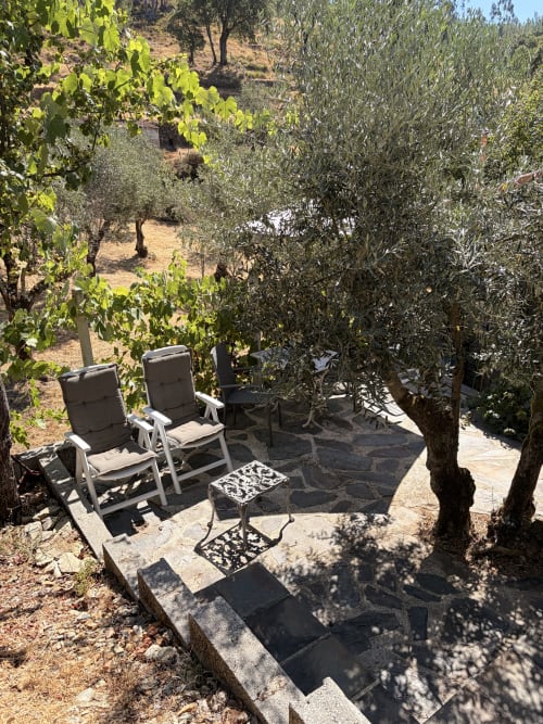 Área de estar sombreada entre oliveiras na quinta Casa das Oliveiras em Alvares, Portugal