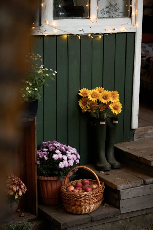 Entrée accueillante de La Grange Aux Etangs avec tournesols jaunes, chrysanthèmes roses, panier de pommes et guirlandes festives