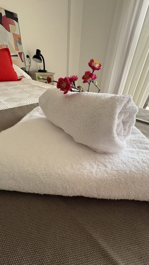 Toallas blancas enrolladas con claveles rojos sobre la cama en la habitación Espolón del hotel Muro 13 El Mirador, Logroño