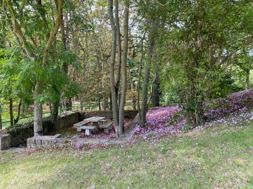 Jardins paisibles du Domaine de Bize à Mirepoix avec fleurs violettes, arbres et table de pique-nique rustique