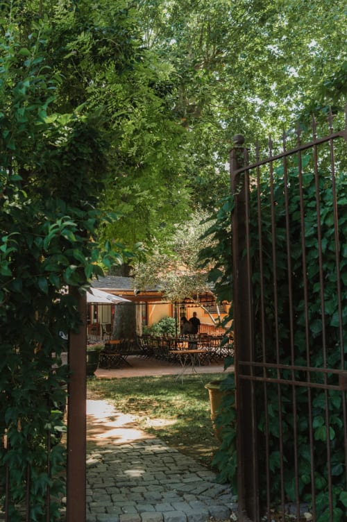 Entrée verdoyante de l'Auberge du Parc à Correns, allée arborée menant à la terrasse.