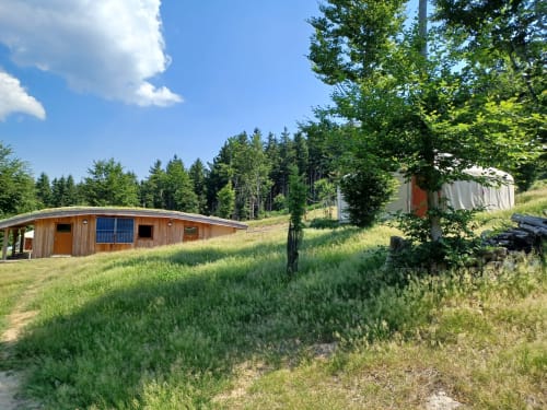 Yourte en bois avec panneaux solaires dans une prairie herbue à La Yourte Un Autre Monde, Le Hohwald, entourée de forêt sous ciel bleu