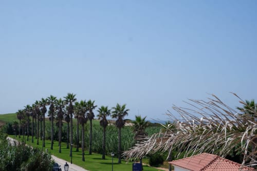 Passarela ladeada de palmeiras no Be SilverCoast hotel em Serra D'El Rei, Portugal, com apartamentos vista para o mar e paisagem costeira