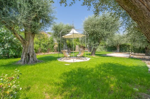 Luxurious villa garden in Grasse with lush lawn, ancient olive trees, and shaded pergola with lounge chairs