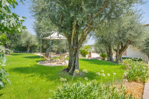 Lush garden at M Résidences villa in Grasse with mature olive trees, green lawn, white pergola with seating, and flowering