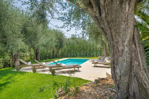 Private pool surrounded by ancient cypress trees and green lawns at Villa M de Mas in Grasse, France