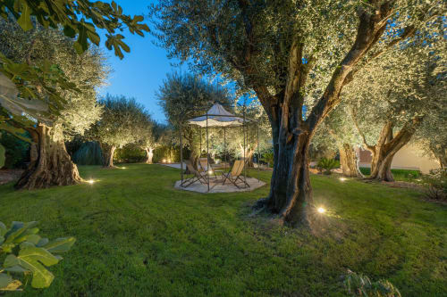 Illuminated olive tree garden at Villa M de Mas near Cannes with gazebo seating area, Grasse