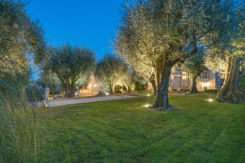 Illuminated villa grounds at dusk in Grasse with mature olive trees, manicured lawn, and traditional stone buildings