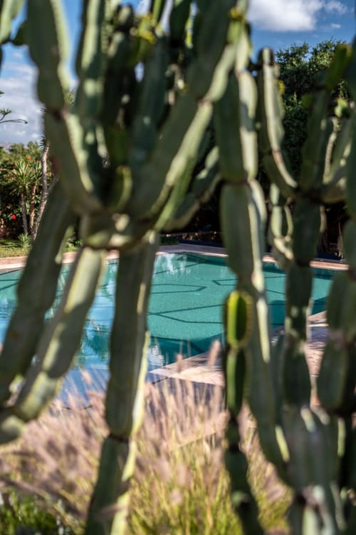 Prickly pear cactus framing a turquoise swimming pool at Domaine Belhazar boutique hotel in Essaouira, Morocco