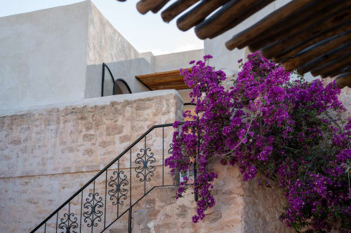Vibrant purple bougainvillea cascades down stone walls at Domaine Belhazar boutique hotel in Essaouira, Morocco, with