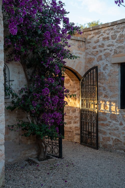 Purple bougainvillea vines frame ornate iron gates at Domaine Belhazar, a boutique riad in Essaouira, Morocco