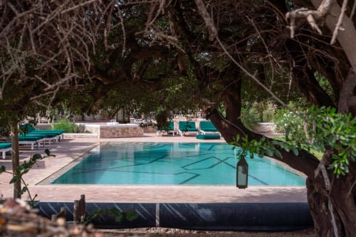 Piscine turquoise entourée d'oliviers noueux au Domaine Belhazar à Essaouira, Maroc