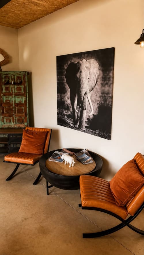 Modern lounge area at Finca Almenara De Copau with orange leather chairs, black elephant photograph, and decorative