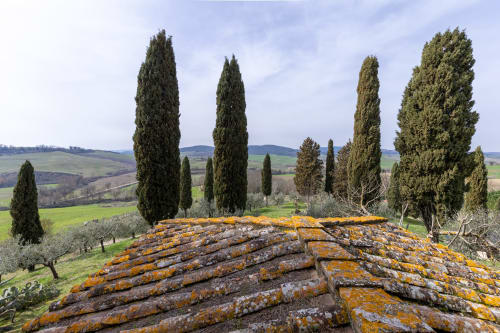 Veduta della campagna toscana con cipressi, colline ondulate e tetto in pietra lichene dell'hotel Quarantallina, Buonconvento