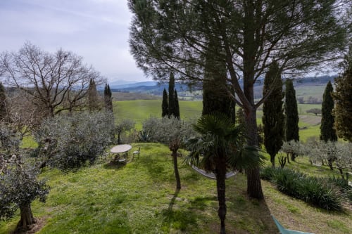 Giardino di villa toscana con cipressi, oliveti e vista sulla valle rigogliosa vicino a Buonconvento