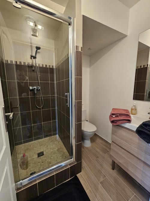 Salle de bain moderne du Studio Mirabeau aux Lodges de Barbieux, Croix, avec douche vitrée et revêtement imitation bois