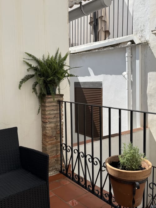 Balcón de la Pensión Hotelito Oliva con plantas de helecho, barandilla de hierro forjado y vistas a la ciudad en Oliva, España