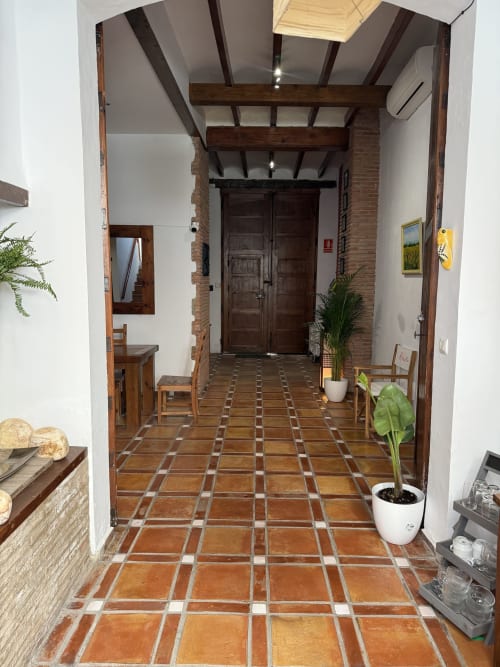 Entrada del Hotelito Oliva con piso de baldosa terracota, vigas de madera oscura y plantas en macetas