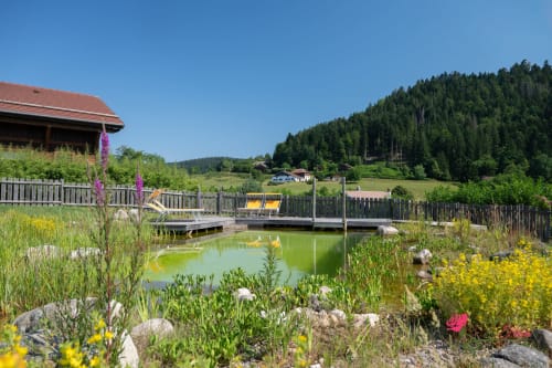 Villa Le Domaine des Fleurs à Gérardmer avec piscine naturelle, jardin de fleurs sauvages, terrasse en bois et vue sur la forêt de montagne