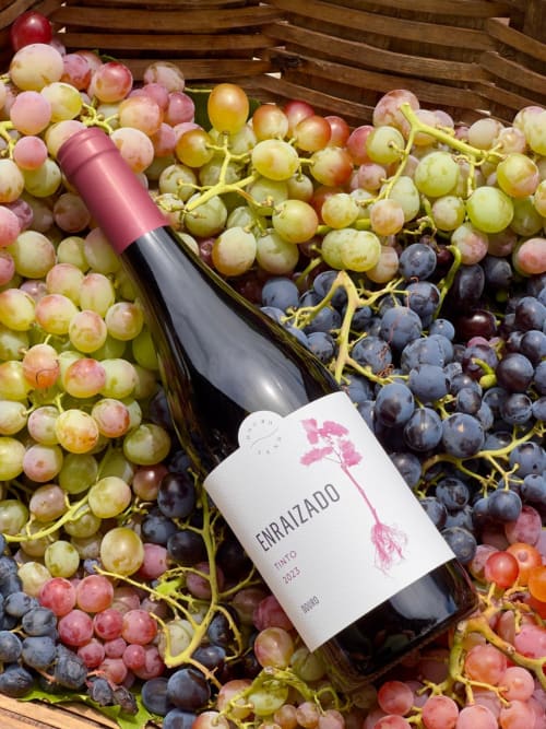 Garrafa de vinho Enraizado com tampa rosa repousando entre uvas vermelhas e verdes frescas em caixote de madeira no hotel Douro Land