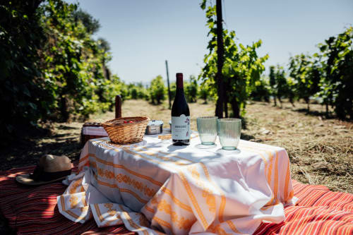 Picnic no hotel Douro Land com garrafa de vinho, taças, cesto e manta às riscas em Peso da Régua