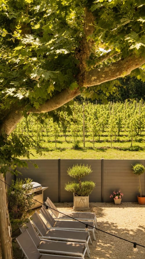 Terrasse ensoleillée du Mas Manon B&B à Cavaillon avec transats, plantes en pot, clôture en bois et vue sur les vignobles