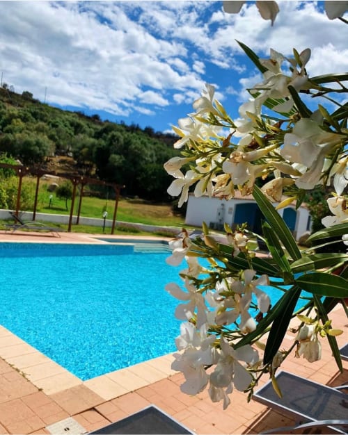 Area piscina di Resort Baia Cea a Bari Sardo con acque cristalline, oleandri bianchi e paesaggio mediterraneo