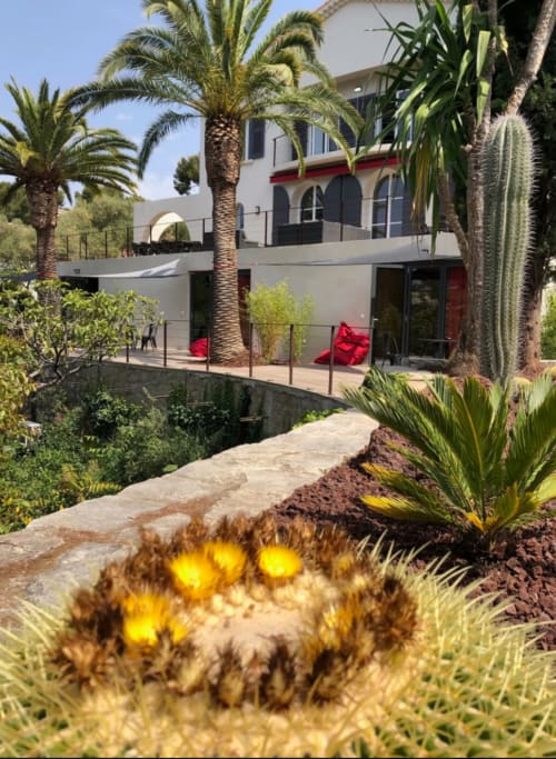 Villa Annette terrace in Cassis with palm trees, yellow flowers, and modern architecture overlooking Mediterranean