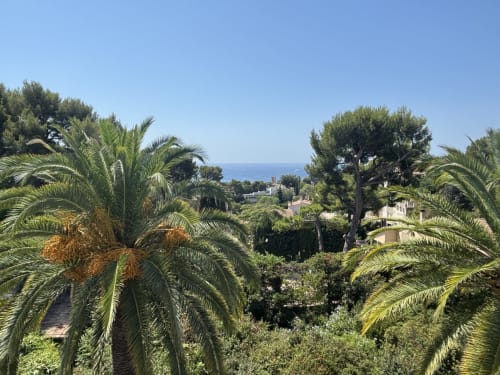 Palm trees frame Mediterranean sea view from Villa Annette Suite Cassis, with coastal landscape and blue horizon