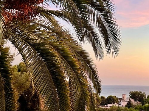 Palm fronds frame a sunset view of the Mediterranean Sea and Cassis village from Villa Annette
