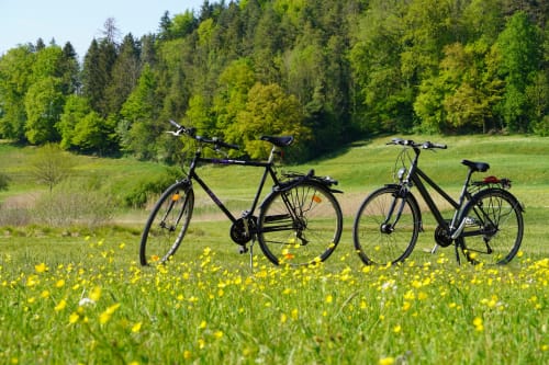 Trois vélos noirs dans une prairie de fleurs sauvages avec collines boisées au Château Haute Roche, Oudon