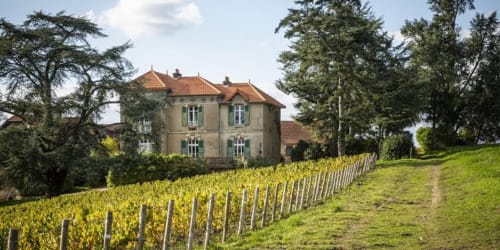 Domaine viticole du Château Haute Roche avec son manoir aux toits de terre cuite entouré de vignobles à Oudon, France