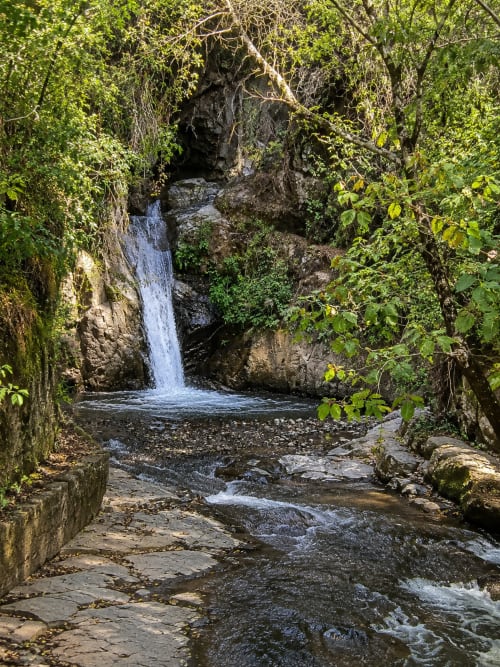 Cascada entre vegetación exuberante en el manantial natural del hotel Sento SanMa en San Mateo Rio Hondo, México